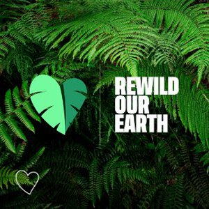 REWILD OUR EARTH