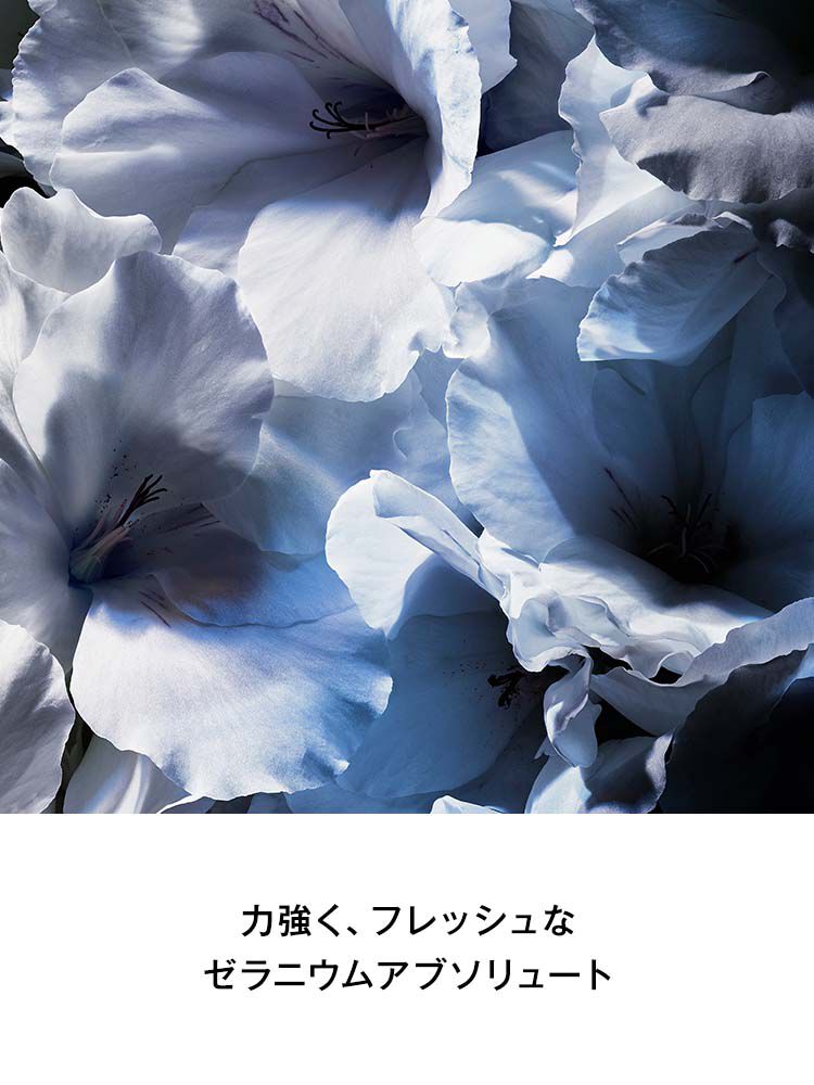 Y MEN オーデパルファム