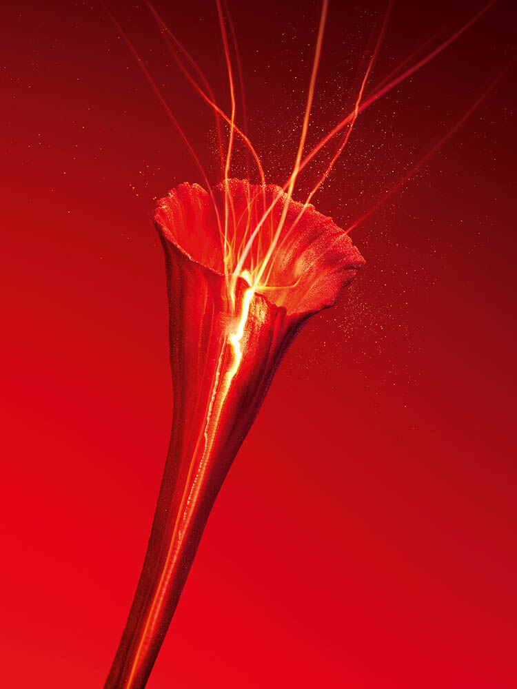 オールージュ セラム N