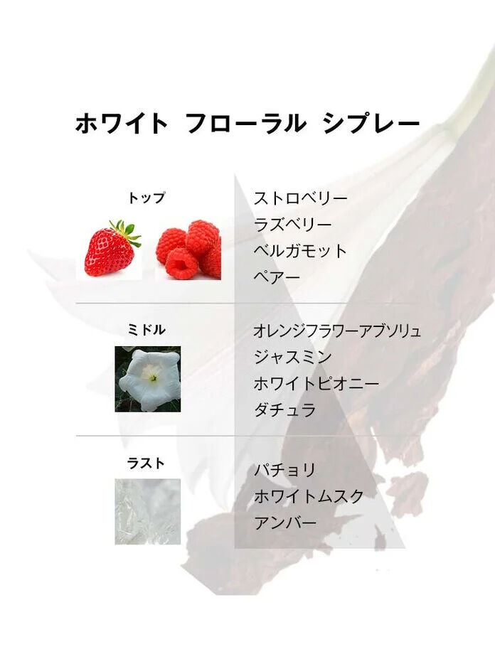 【eギフト限定】 選べるフレグランスギフト 30mL