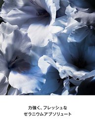 Y MEN ルパルファム​