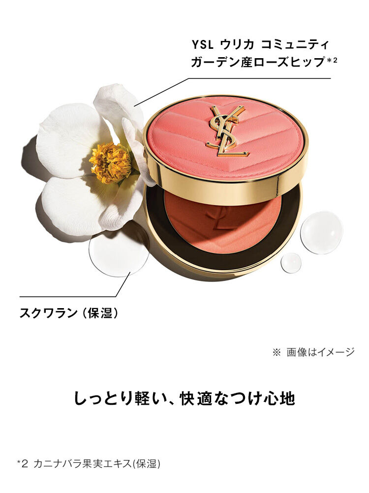 ケアクラッシュ セラムクリーム & YSL メイクミーブラッシュ パウダー