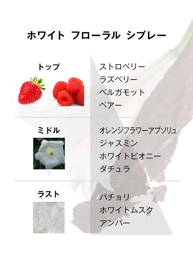 モン パリ オーデパルファム