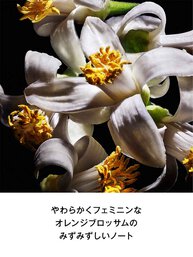 リブレ オーデパルファム