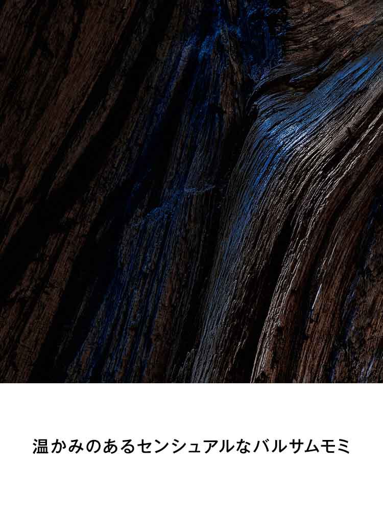 Y MEN ルパルファム​