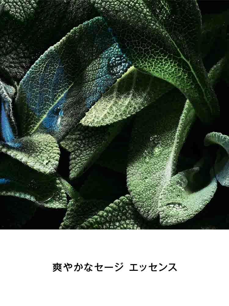 Y MEN オーデパルファム