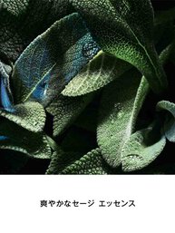 Y MEN オーデパルファム