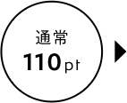 通常 110pt
