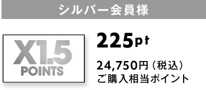 シルバー会員様(X1.5 POINTS)：225pt 24,750円（税込） ご購入相当ポイント
