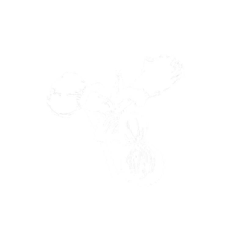 ミドルノート